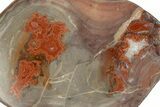 Polished Devil's Red Agate - TeePee Canyon, South Dakota #373409-1
